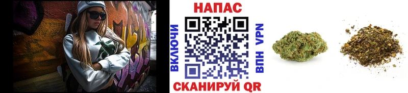 Как найти наркотики Нововоронеж ГАШ  СОЛЬ  COCAIN  omg сайт  Галлюциногенные грибы  Конопля  Мефедрон 