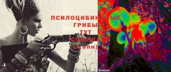 молекула духа Рославль