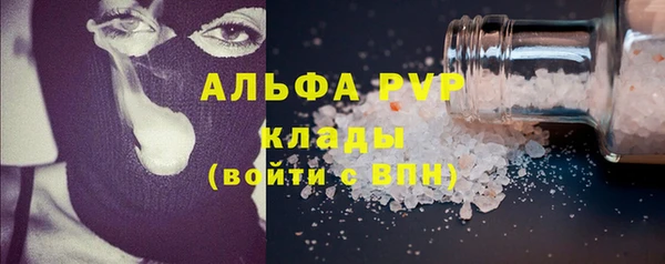 PSILOCYBIN Ростов