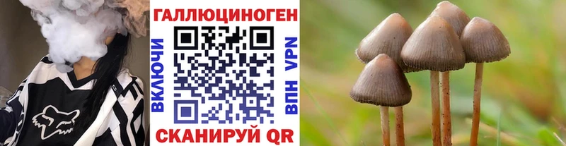 Галлюциногенные грибы Psilocybine cubensis  Нововоронеж 